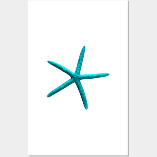 Starfish, Aqua Blue Posters and Art